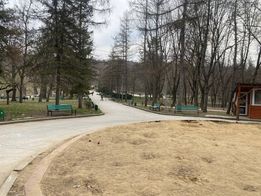 În sectorul Rîșcani este renovat unul din cel mai mare Parc-Pădure.  Este vorba de modernizarea Parcului din strada Dumi... - sectorului Rascani